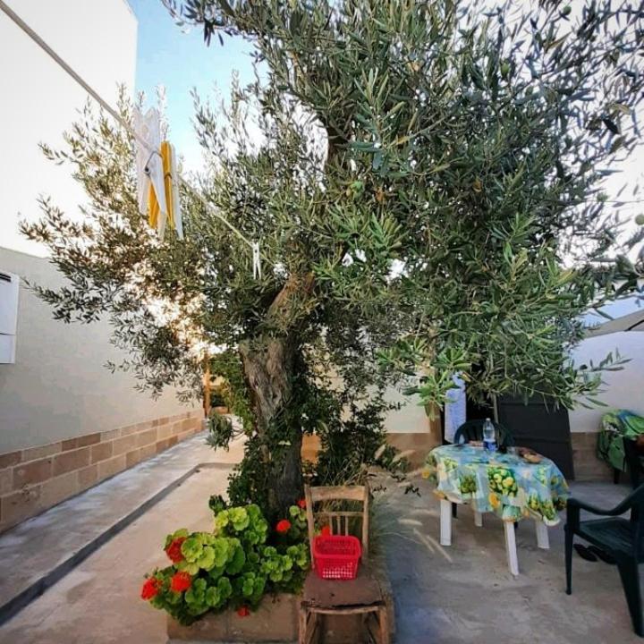 Casa Le Gebbie Villa Marzamemi Exterior photo