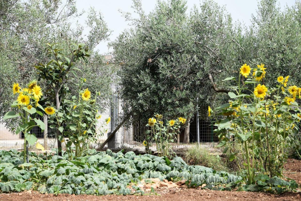 Casa Le Gebbie Villa Marzamemi Exterior photo